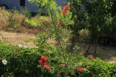 Apartmány 3298-1845 - 9