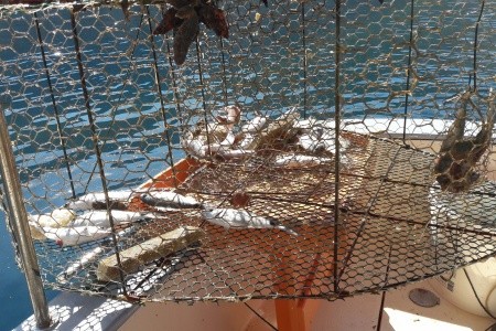 Apartmány 3298-2828 - 31