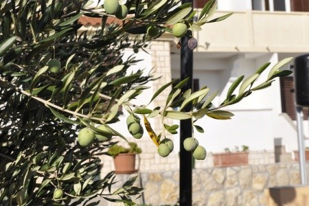 Apartmány 3298-2828 - 32