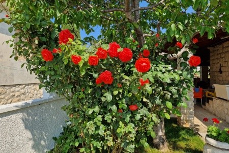 Apartmány 3298N-7638 - 38