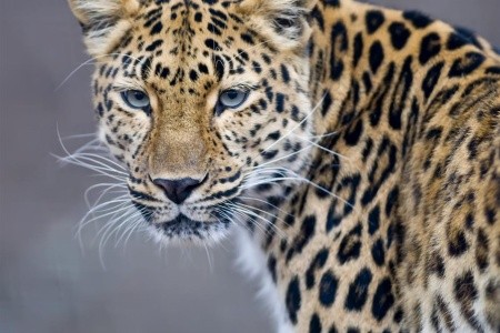 Ve stínu Kilimanjara - Dovolená na safari v Keni a pobyt u moře s s českým průvodcem - 3