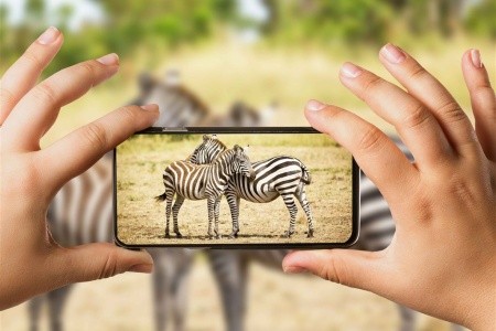 Ve stínu Kilimanjara - Dovolená na safari v Keni a pobyt u moře s s českým průvodcem - 4