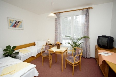 Lázeňské Penziony - 13