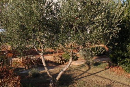 Apartmány 3298-1596 - 49