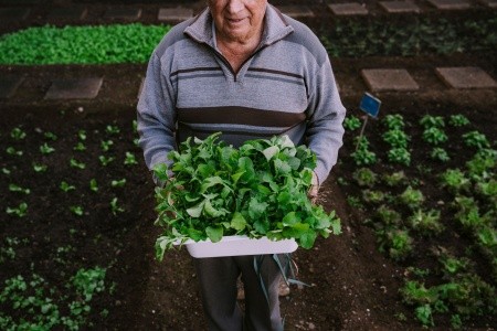 The Views Baía - 268