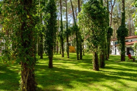 Baia Salima Kemer (Ex. Baia Kemer Club) - 92