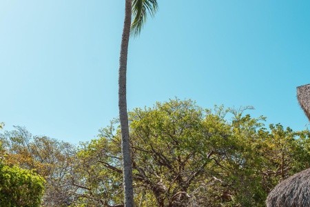 Iberostar Tainos - 50