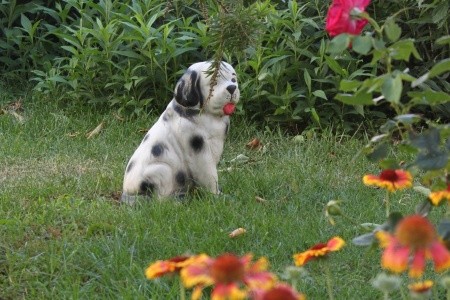 Apartmány 3298-1482 - 82