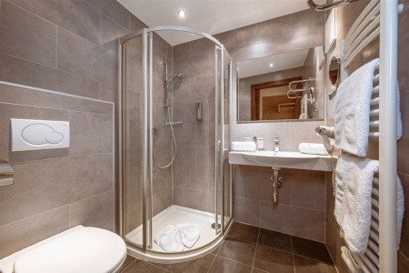 Gasthof Bachschmied (Maria Alm Am Steinernen Meer) - 18