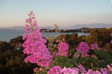 Apartmány 3298-4988 - 17