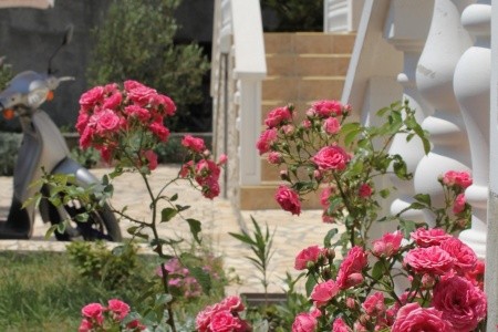 Apartmány 3298-1427 - 39