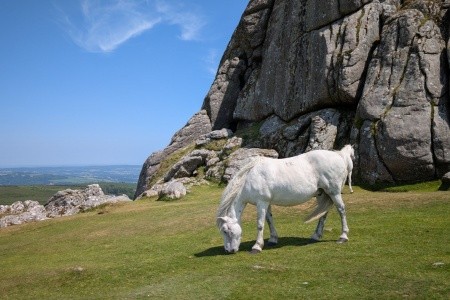 Cornwall & Devonshire – to nejkrásnější z jihu Anglie - 9