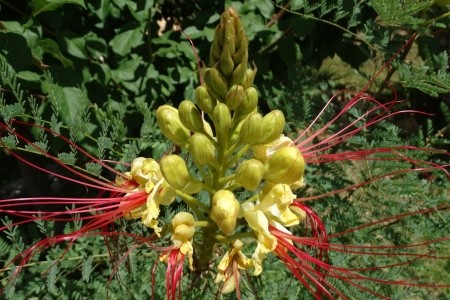 Apartmány 3298-2626 - 11