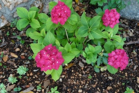 Apartmány 3298-2626 - 13