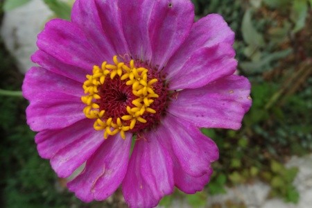 Apartmány 3298-2626 - 14