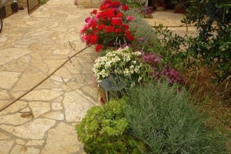 Apartmány 3298-3013 - 30