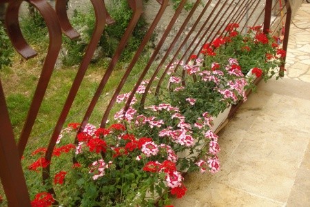 Apartmány 3298-3013 - 31