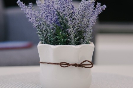 Apartmány 3298-3391 - 6