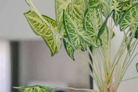 Apartmány 3298-3391 - 17