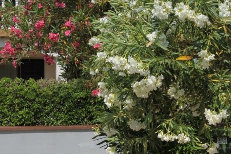 Apartmány 3298-40 - 71