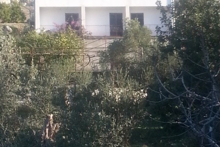 Apartmány 3298-2392 - 12