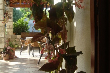 Apartmány 3298-2392 - 27