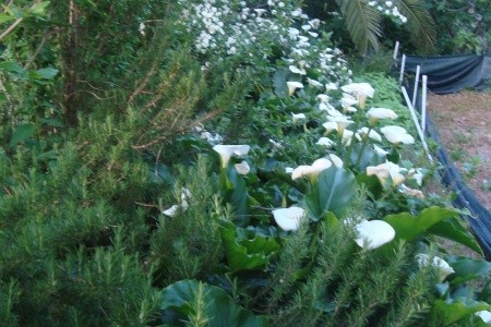 Apartmány 3298-2392 - 24