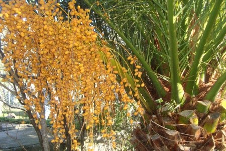 Apartmány 3298-2392 - 23