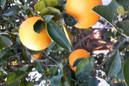 Apartmány 3298-2392 - 22