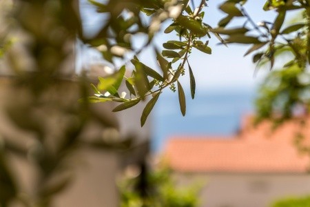 Apartmány 3298-67 - 70