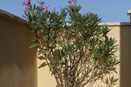 Apartmány 3298-1903 - 34