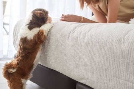 Innside Alcudia - 178