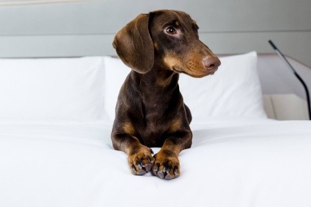 Španielsko Mallorca Sol Wave House 15 dňový pobyt Raňajky Letecky Letisko: Praha July 2026 (17/07/26-31/07/26)