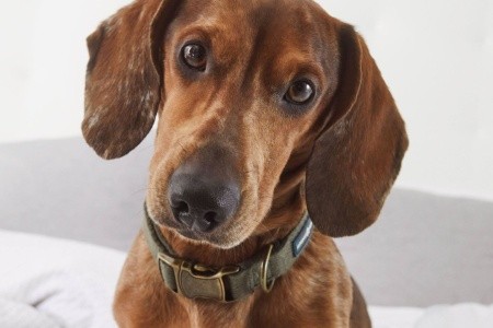 Innside Calvia Beach - 113