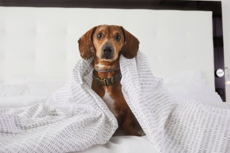 Španielsko Mallorca Innside Palma Bosque (Ex.