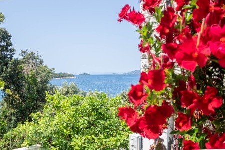 Apartmány 3298-2083 - 13