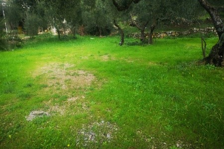 Apartmány 3298-5843 - 98