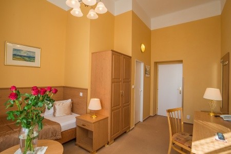 Lázeňský Hotel Savoy - 10