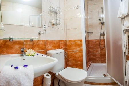 Lázeňský Hotel Savoy - 15