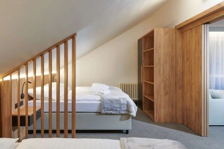 Wellness Hotel Svornost - 12