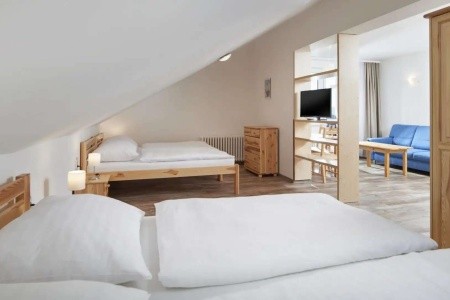 Wellness Hotel Svornost - 16