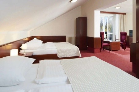 Wellness Hotel Svornost - 20