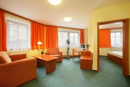 Záviš Z Falkenštejna - 3