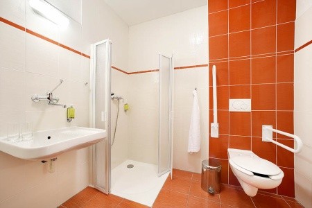 Záviš Z Falkenštejna - 5