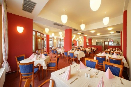 Záviš Z Falkenštejna - 7