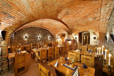 Záviš Z Falkenštejna - 8