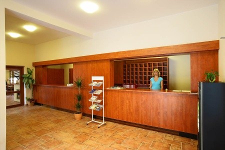 Záviš Z Falkenštejna - 9