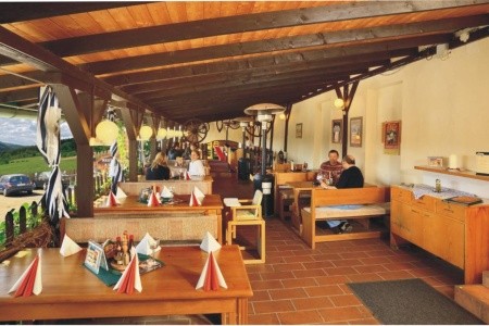 Záviš Z Falkenštejna - 10