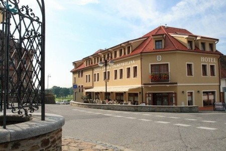 Záviš Z Falkenštejna - 13