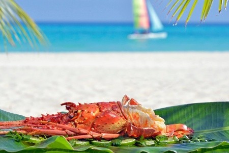 Paradisus Los Cayos - 136